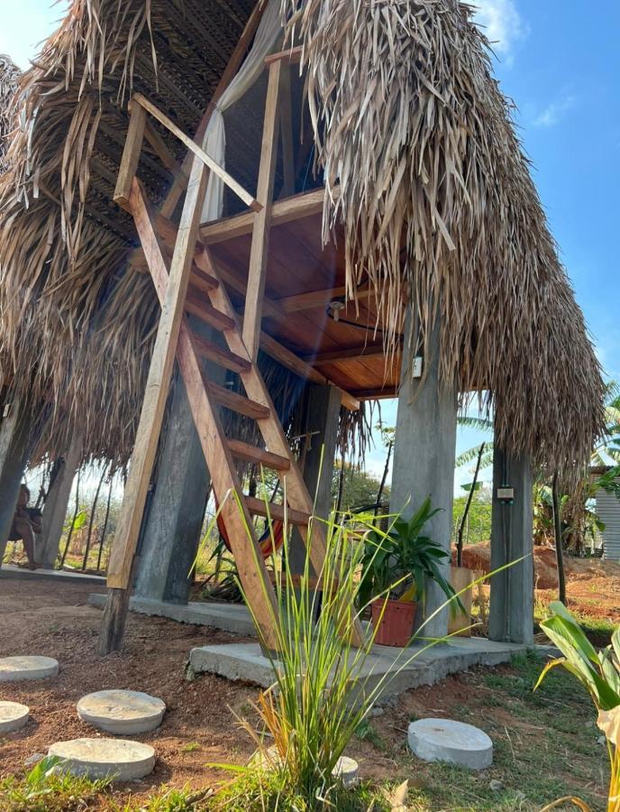 Sasy Tipis Hotel Santa Catalina Kültér fotó